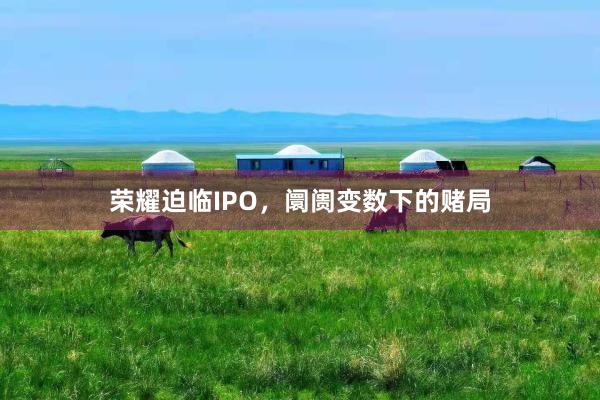 荣耀迫临IPO，阛阓变数下的赌局