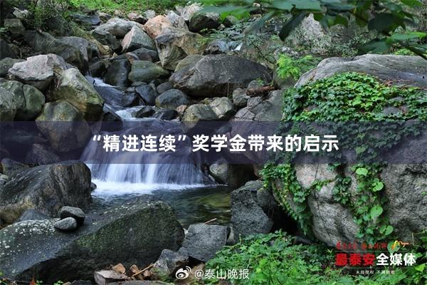 “精进连续”奖学金带来的启示