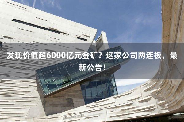 发现价值超6000亿元金矿？这家公司两连板，最新公告！