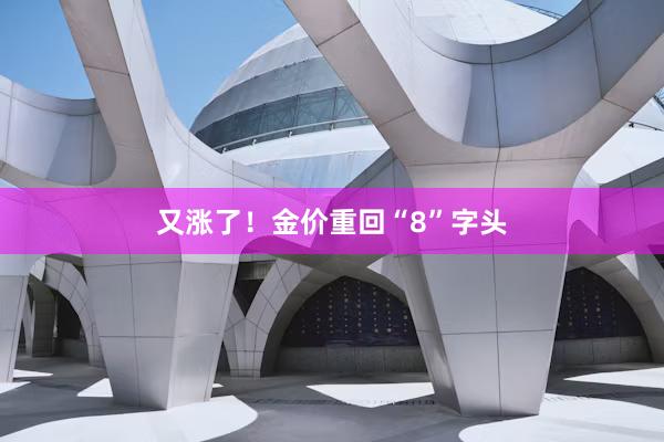又涨了！金价重回“8”字头