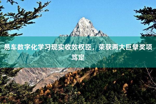 易车数字化学习现实收效权臣，荣获两大巨擘奖项笃定