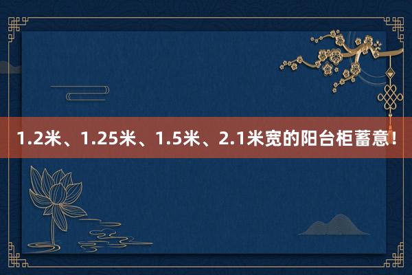 1.2米、1.25米、1.5米、2.1米宽的阳台柜蓄意！