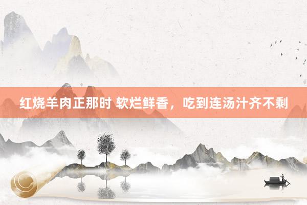 红烧羊肉正那时 软烂鲜香，吃到连汤汁齐不剩