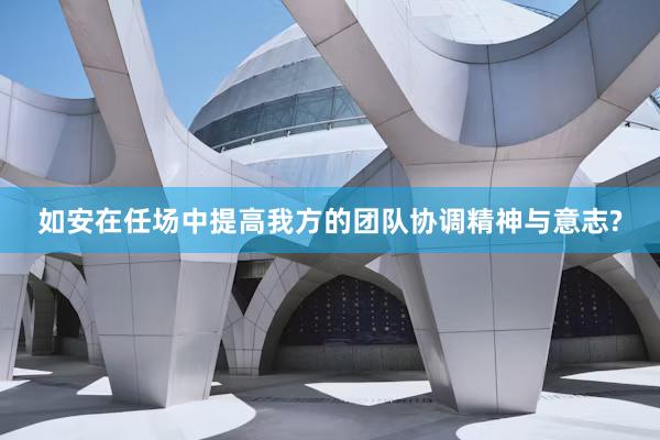 如安在任场中提高我方的团队协调精神与意志?