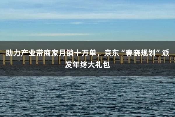 助力产业带商家月销十万单,京东“春晓规划”派发年终大礼包