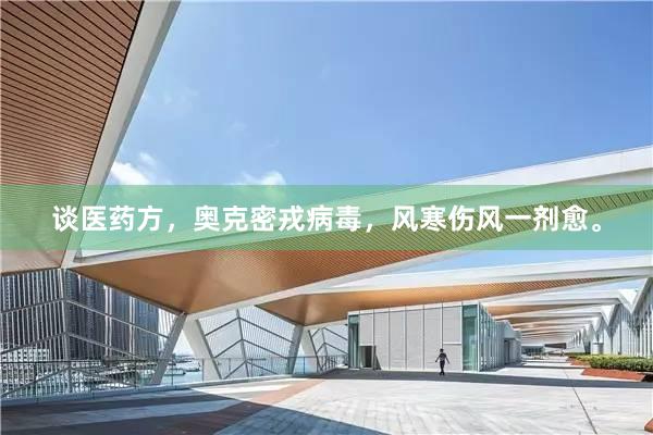 谈医药方，奥克密戎病毒，风寒伤风一剂愈。
